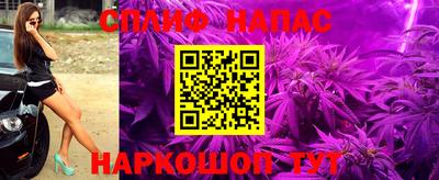 спиды Краснодар