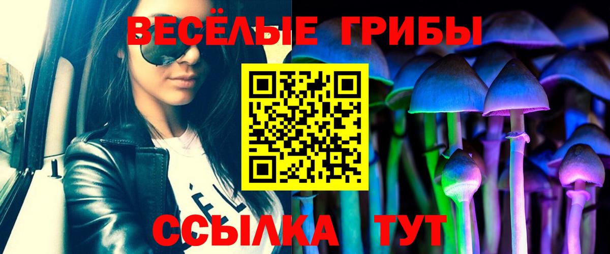 Галлюциногенные грибы мицелий Фролово